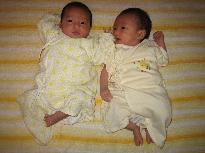 双子のいる生活 第7回 双子の新生児を家に迎える 論文 レポート