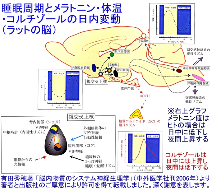 https://www.blog.crn.or.jp/report/m/gif/report_04_70_2.jpg